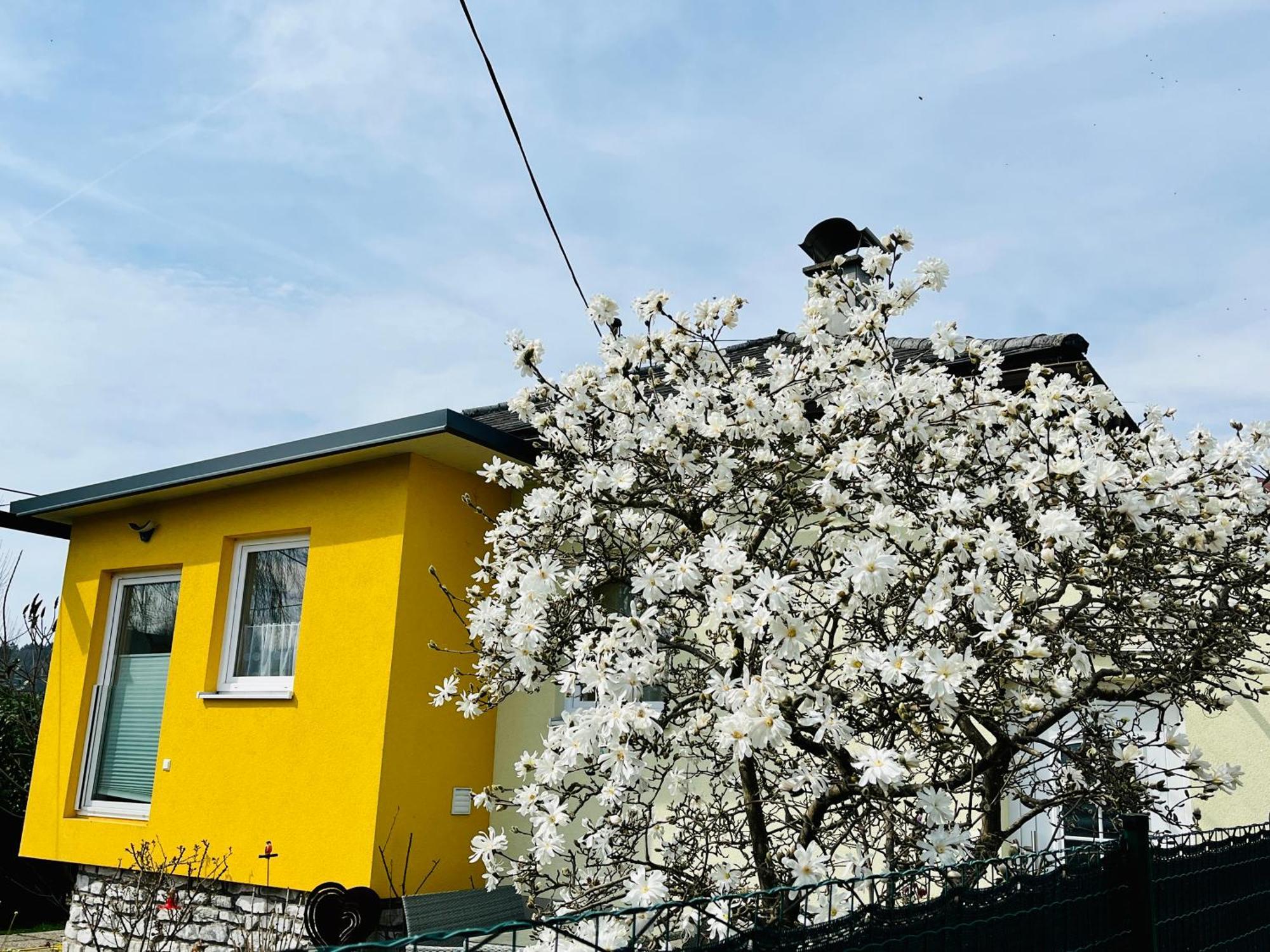 Ferienhaus Sausalblick Großklein Exterior foto